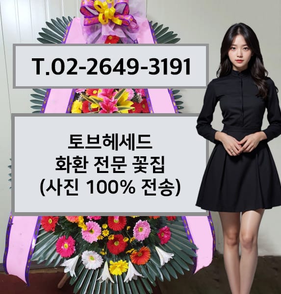 토브헤세드 화환 전문 꽃집